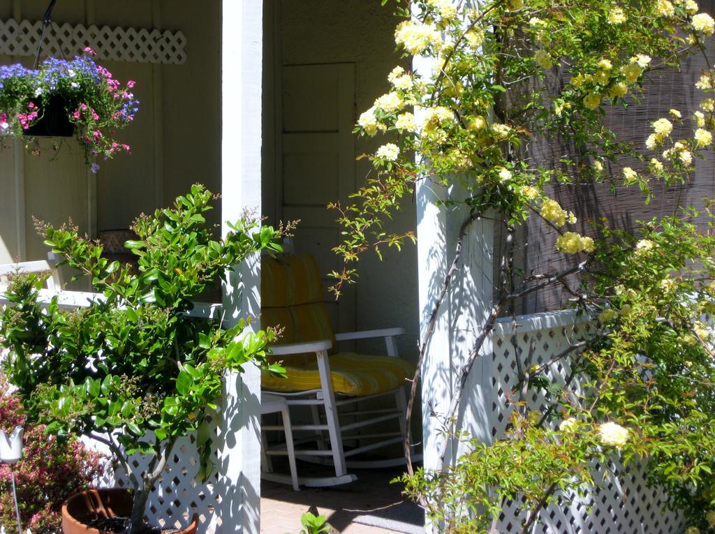 Cutty Sark Efficiencies And Historic Cottage's Hotel Virginia Beach